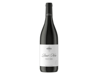 Pinot Nero - Attuale