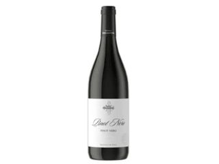 Pinot Nero - Attuale