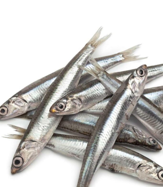Anchois, 500 g