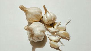 ნიორი 0.1 - 0.2 კგ