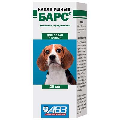 კატის ჰიგიენა