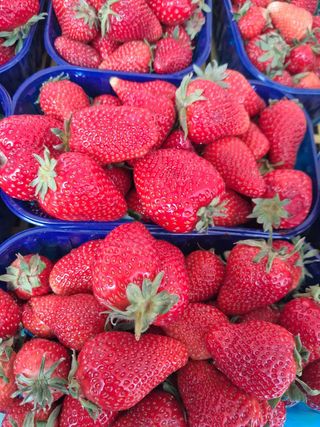 Domaće hercegovačke jagode 1kg