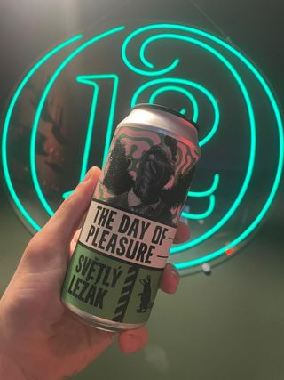 Wild Raccoon - the Day Of Pleasure