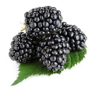 Crne kupine, 250g