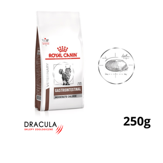 Royal Canin Gastrointestinal Moderate Calories (na wagę 250g)