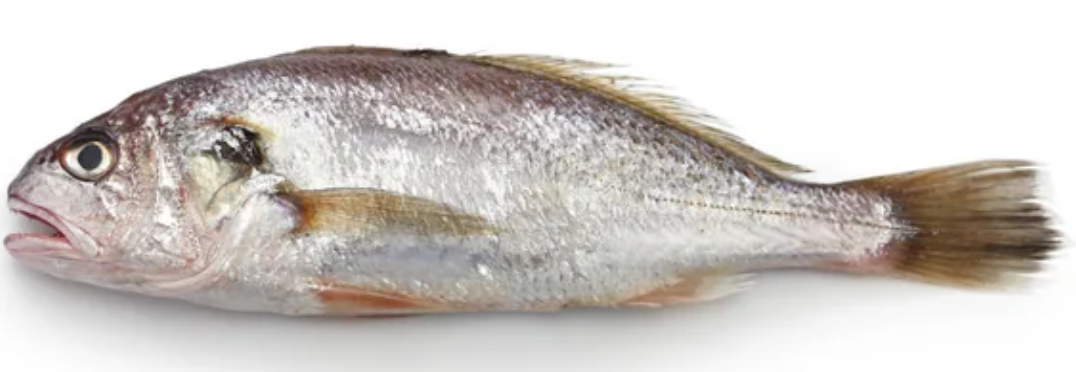 Corbeau, 1 kg
