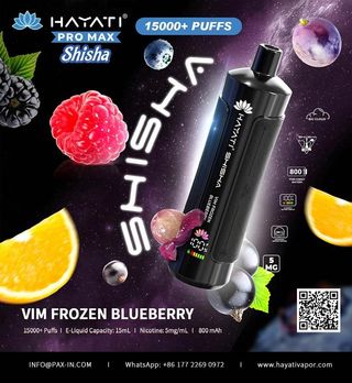 HAYATI Pro Max Shisha 15000 Puffs 0,5 % -5Mg - Vim Frozen Blueberry