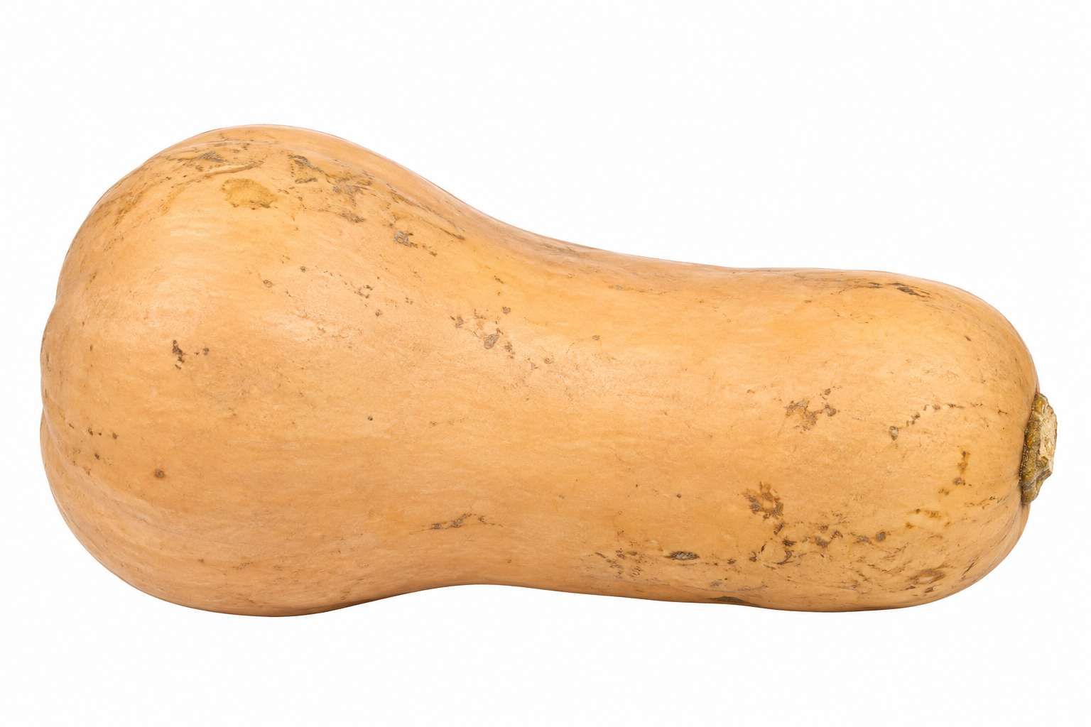 Courge Butternut – 1 kg