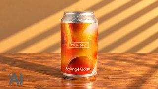 Orange Gose / Põhjala Brewery 330 მლ