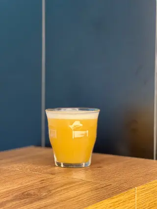NEIPA SeaHorse 1l