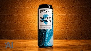 Salty Swing | Rewort 450 მლ