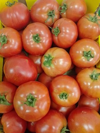 Paradajiz pink 0.5 kg