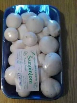 Šampinjoni komad 5km