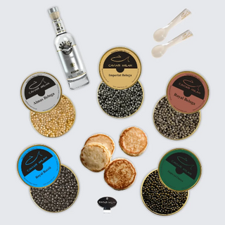 Bundle Total Exclusive