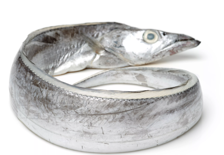 Samta, 1 kg