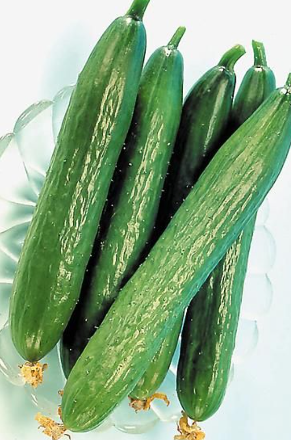 Fegousse frais 1 kg
