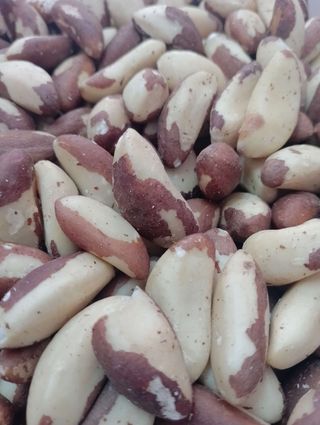 Brazilski orah 100 gr