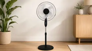 ვინტილატორი