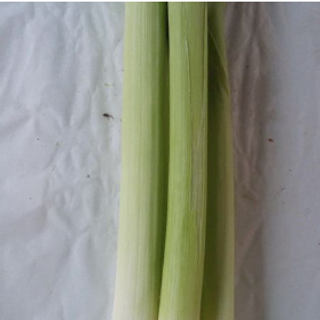 Prasa ( poriluk ) 500gr