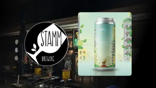 Stamm | American Pale Ale | can 0.45