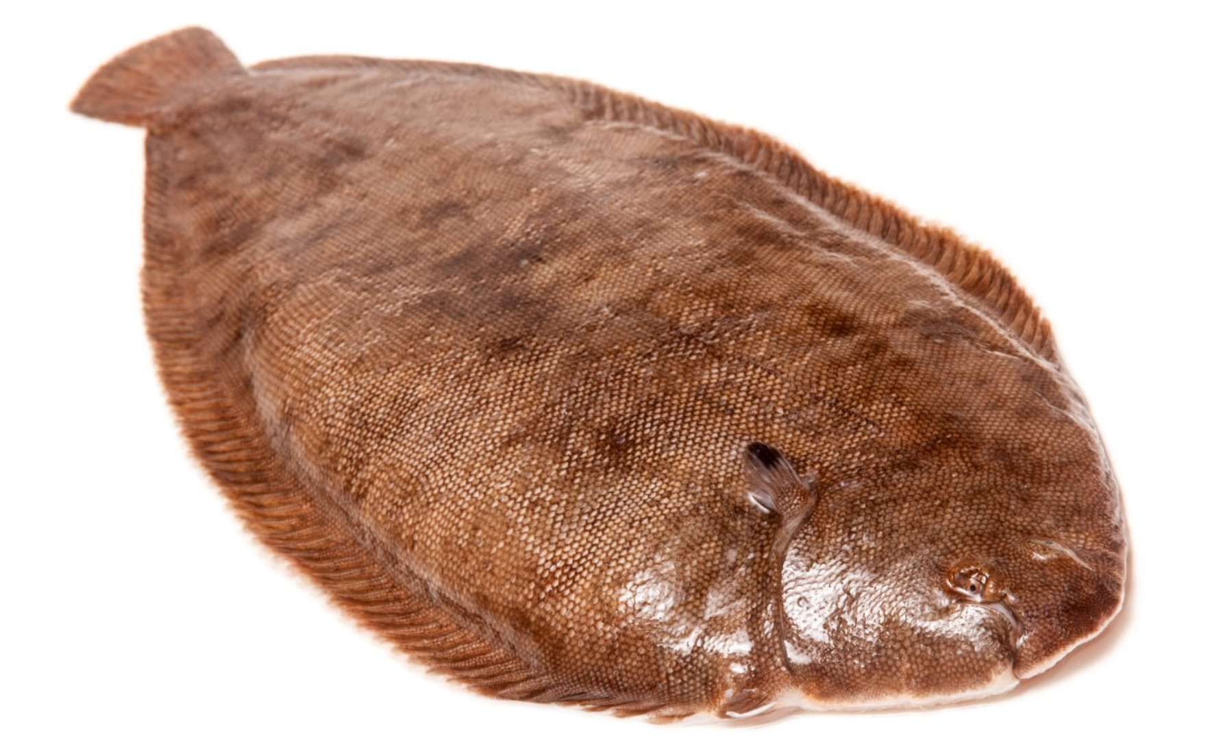Grande sole, 500 g