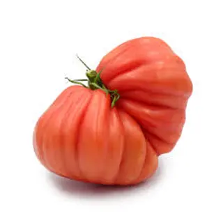 POMIDOR ROSAMUNDA,Polska 500 g