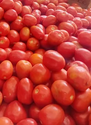 Red Tomatoes