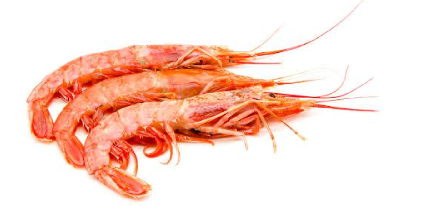 Crevette fraîche, 250 g
