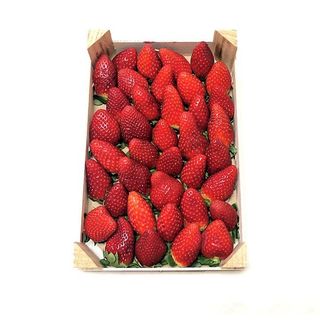 Fresón Bandeja 1kg ECO