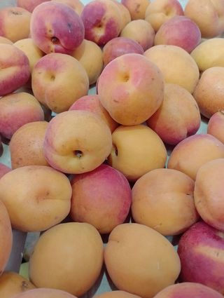 Kajsije 0.5 kg