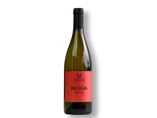 Ruggia