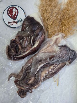 Щупальця гігантського кальмара с/м 100г