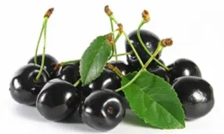 Cirese negre amare