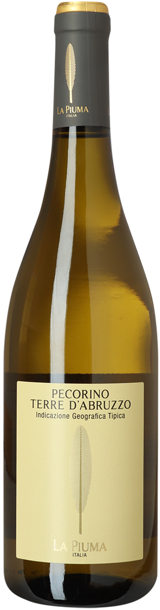 Pecorino
