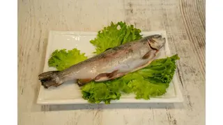 Pastrmka