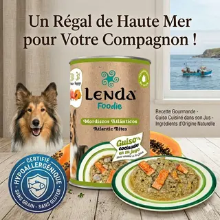 Bouchées atlantiques au saumon et au hareng sans céréales pour chien – Aliment complet humide – Lenda Foodie Atlantic Bites