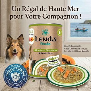 Bouchées atlantiques au saumon et au hareng sans céréales pour chien – Aliment complet humide – Lenda Foodie Atlantic Bites