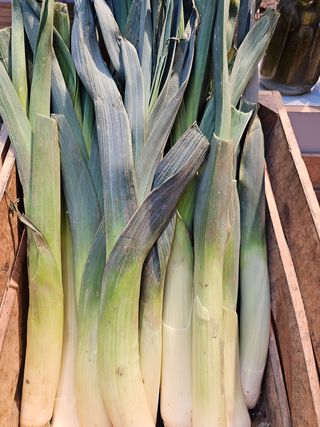 Por ekologiczny 1szt.