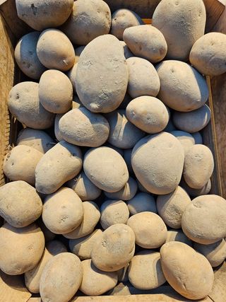 Ziemniaki ekologiczne 1Kg