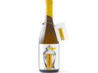 Podagna