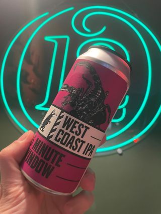 Wild Raccoon - 5 Minute Window