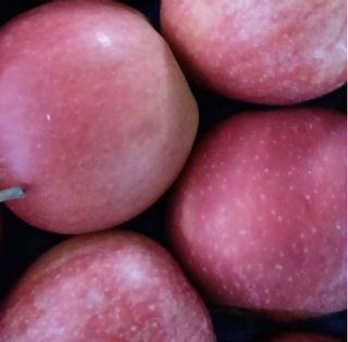 Pink lejdi jabuka 500gr