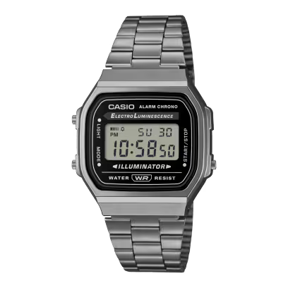 CASIO Electro Luminescence Silver Watch