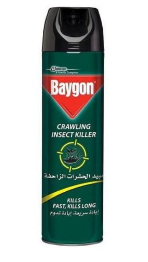 Baygon Insecticide Insectes Rampants Sans Odeur – 360 ml