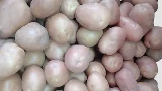 Mladi krompir rozi 0.5 kg