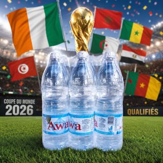 Eau Minerale 1.5l Awa pack de 6