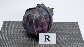 Kupus ljubicasti komad