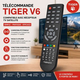 Télécommande TIGER V6 noire