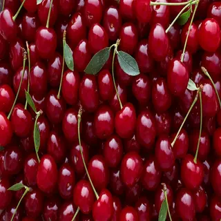 cerise 500 g