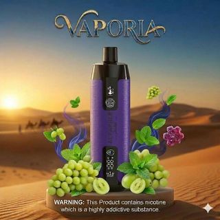 Al Fakher Sound 12k - Grape Mint - 0.5%